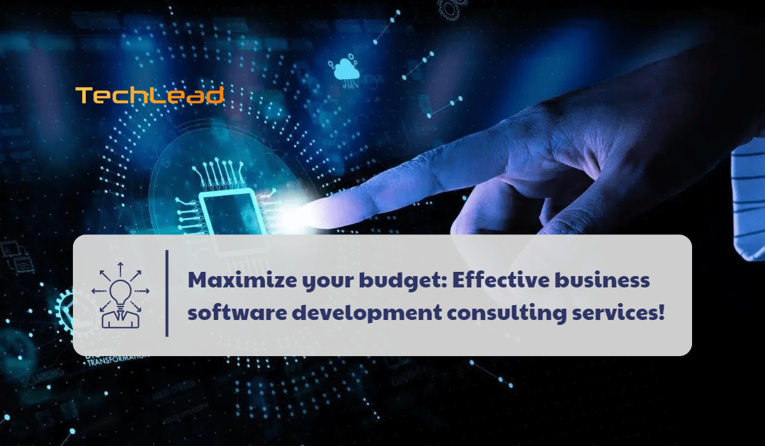 Maximize your budget: Effective business software development consulting services!