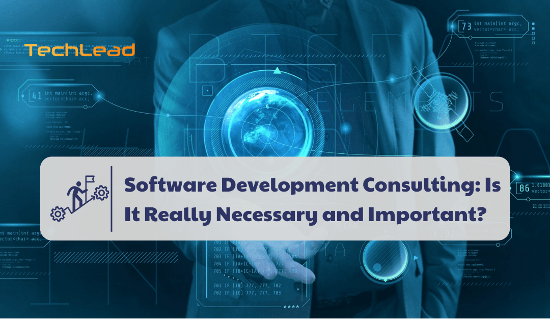 Software Development Consulting: Is It Really Necessary and Important?