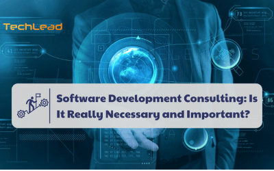 Software Development Consulting: Is It Really Necessary and Important?
