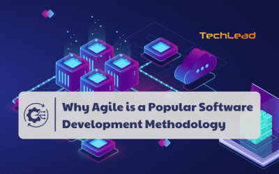 Why Agile is a Popular Software Development Methodology